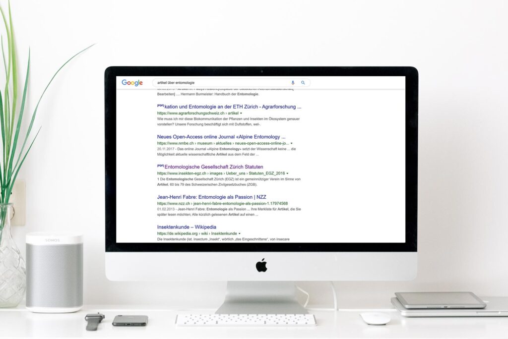 Google-Suchresultate mit PDF-Dokumenten