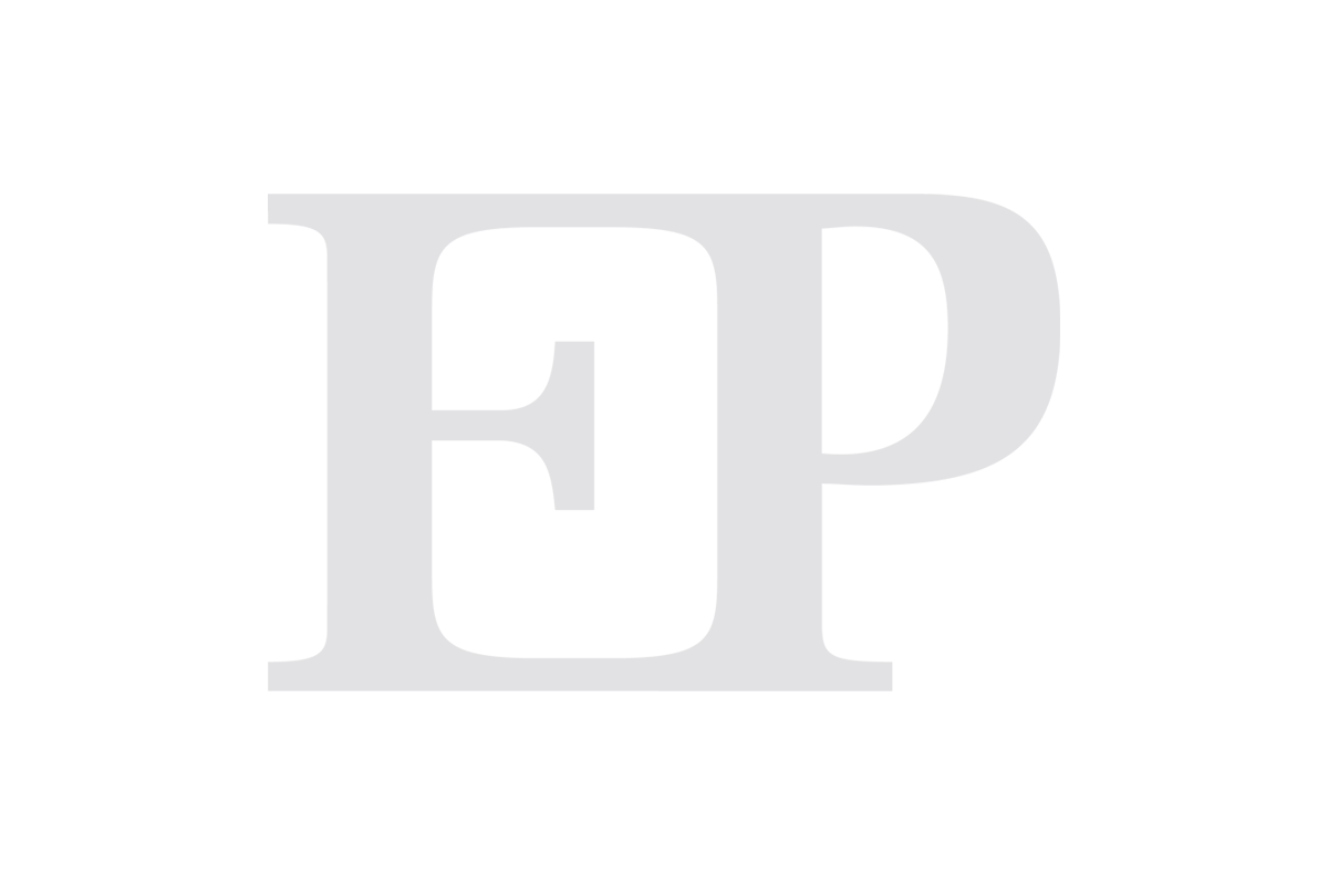 Ettinger Partner (Logo)