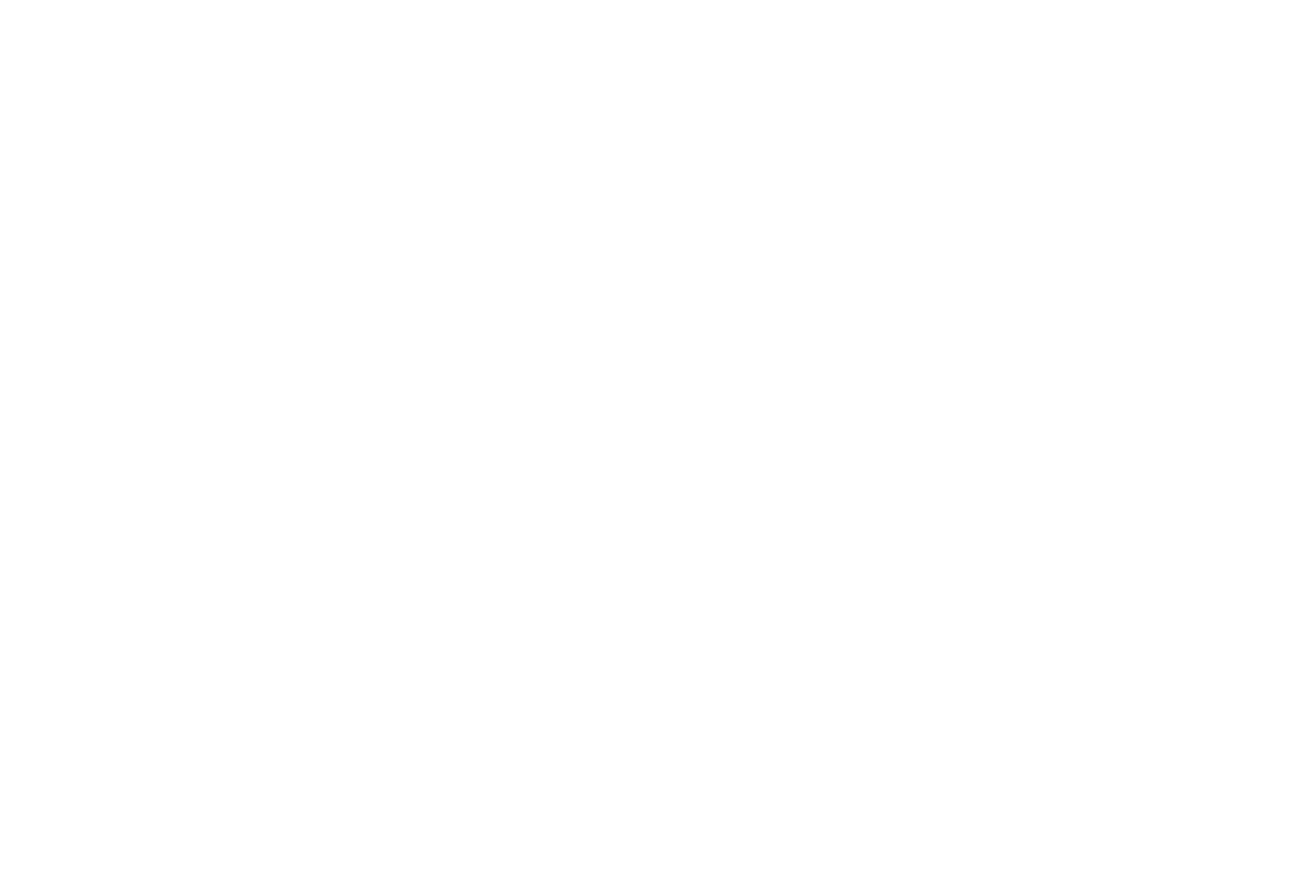 IO Sys (Logo)