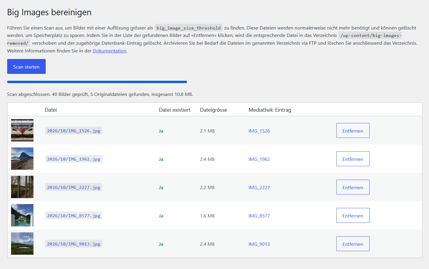 Screenshot des Plug-ins «Metoki Big Image Cleaner»