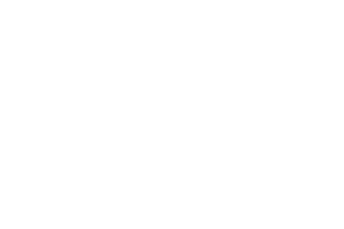 Smart Fed (Logo)