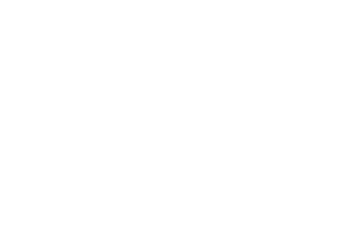 Swiss Real Estate Institute (Logo)