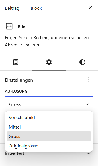 Auswahlmenü für die Bildgrösse im WordPress Block Editor