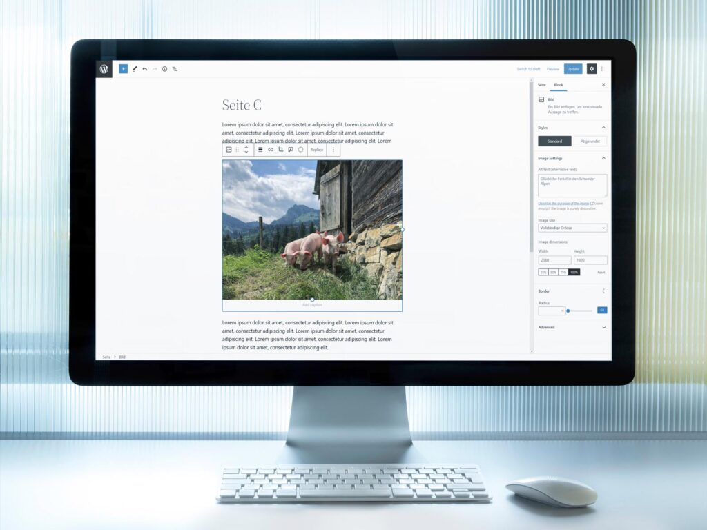 Bildschirm mit WordPress Block Editor